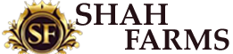 Shah Farms